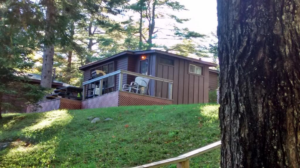 The Pines Cottage Resort Oxtongue Lake Oda fotoğraf